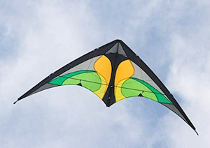 Flugdrache in Form eines Drachen 1 Meter breit FDG Drache 